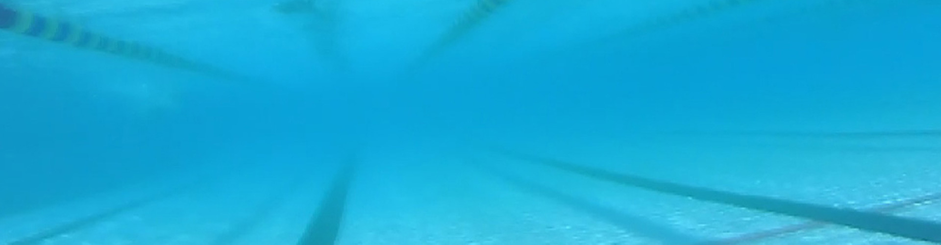 水泳同好会